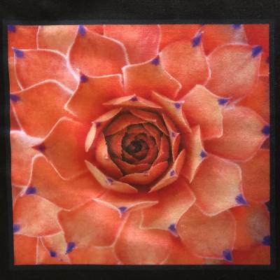 Baumwollstoff Motiv Sukkulenten