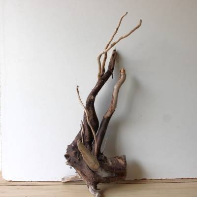 Treibholz Schwemmholz Driftwood  1 XXL  Wurzel   Dekoration  Garten  Lampe Terrarium  75  cm hoch
