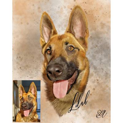 Digitales Haustierportrait realistische Zeichnung vom Foto Hund Katze