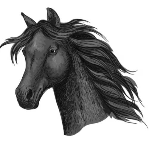 Bügelbild Pferd Aufbügler Kinder Pony Applikation