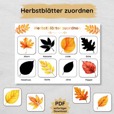 Herbstblätter Schatten zuordnen Lernspiel für Kinder zum Ausdrucken