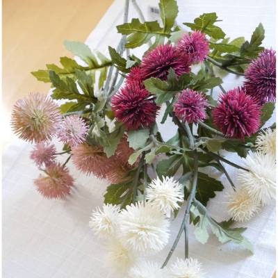 Distel Zweig, Pompom