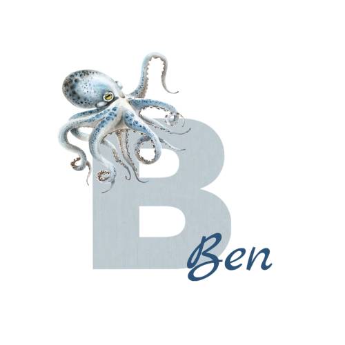 Bügelbild Krake Name Geburstag T-Shirt personalisiert