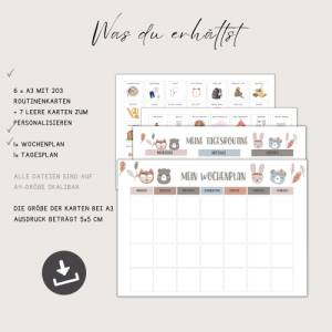 Routinekarten Kinder digital, Wochenplan Tagesplan Kinder Montessori A4 + A3  , PDF sofort Download Bild 3