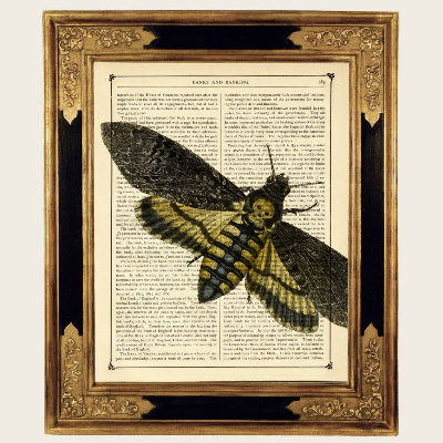 Totenkopf Motte Druck Gothic Hannibal Halloween Insekt - Dark Academia Kunstdruck auf antiker viktorianischer Buchseite