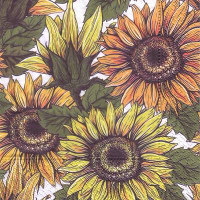 Eine Lunchservietten Sonnenblumen, Sonnenblumenfeld mit großen Blüten in Gelb und Orange