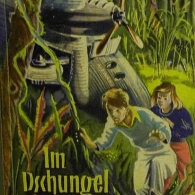 Im Dschungel abgestürzt