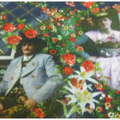 Trachtenjersey Alpenglück Digitaldruck, Oeko-Tex Standard 100(1m/15,-€)