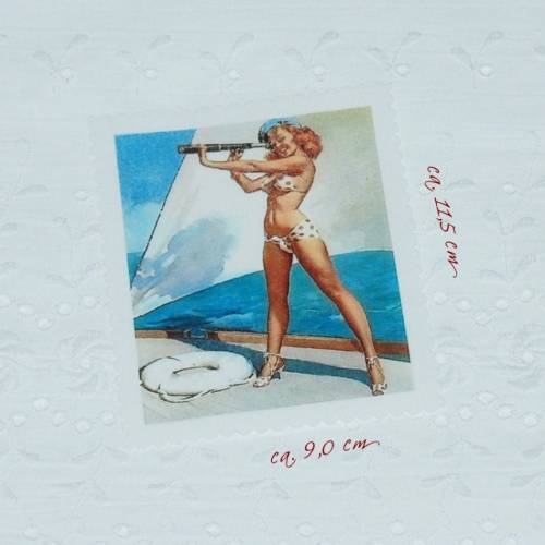 Patches Aufnäher Stoffbild Applikation Pin up schöne Aussicht fifties sixties