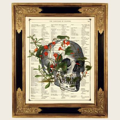 Totenkopf Blumen Kunstdruck Totenschädel Botanik Gothic Halloween - Steampunk Poster antiker viktorianischer Buchseite