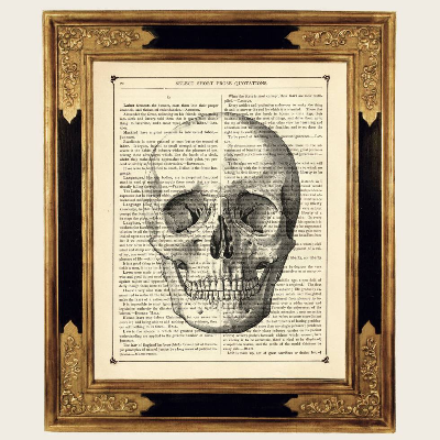 Totenkopf Totenschädel Gothic Halloween Friedhof Poster Dark Academia - Kunstdruck auf antiker viktorianischer Buchseite
