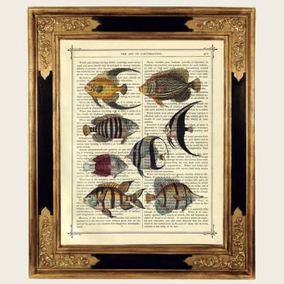 Fische Kunstdruck Schwarm Meer Ozean Poster Zoologie - Steampunk Druck auf antiker viktorianischer Buchseite