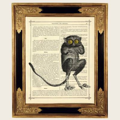 Lemur Madagaskar Kunstdruck Naturwissenschaften - Steampunk Druck auf antiker viktorianischer Buchseite