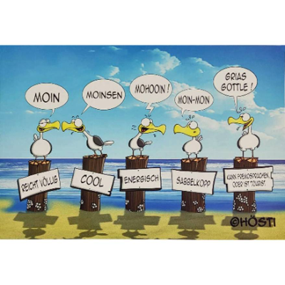 Lustiges Hösti Tischset Moinsen – Maritimes Platzset mit Möwen | 44x30 cm abwaschbar