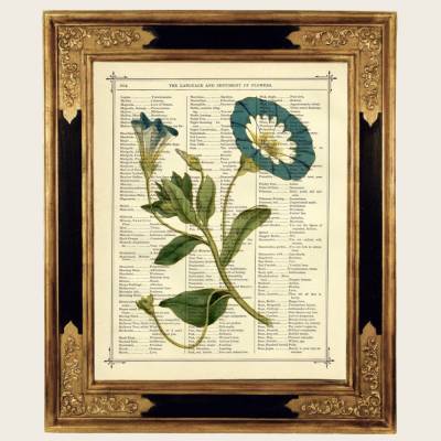 Blumen Bild Botanik Garten Steampunk Dark Academia - Kunstdruck auf viktorianischer Buchseite Grafik vintage