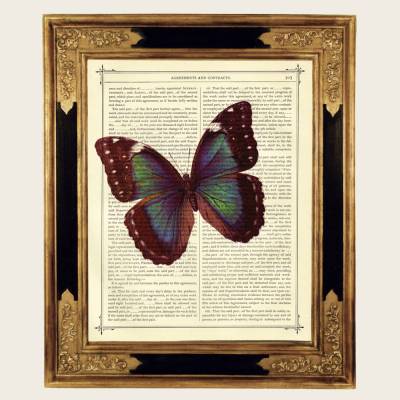 Morpho blau Schmetterling Kunstdruck Insekt Natur Dark Academia - Steampunk Druck auf antiker viktorianischer Buchseite