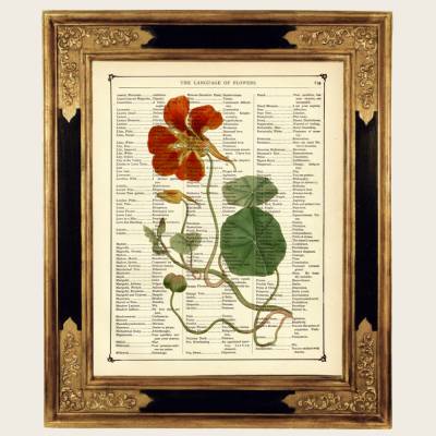 Rote Blumen Kunstdruck Botanisch Garten Muttertag Valentinstag - Steampunk Druck auf antiker viktorianischer Buchseite