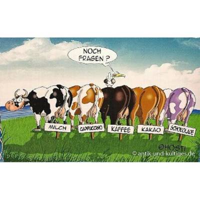 Lustiges Hösti Tischset 5 Kühe – Abwaschbares Platzset Maritim 44x30 cm Möwen Motiv