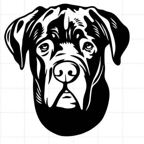 Cane Corso Hund Aufkleber, Cane Corso Vinyl Aufkleber, Cane Corso Sticker, Hundeaufkleber Cane Corso, Haustier Aufkleber