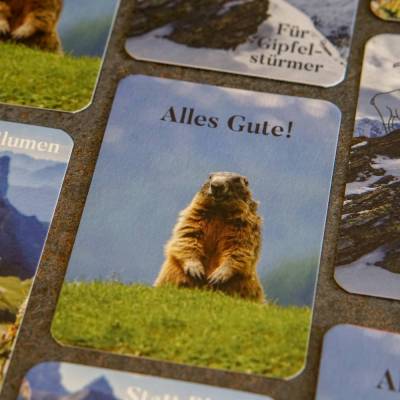 Murmeltier Postkarte