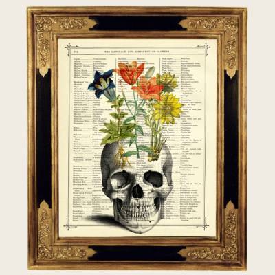 Totenkopf Totenschädel Blumen Botanik Gothic Halloween - Kunstdruck antiker viktorianischer Buchseite Dark Academia