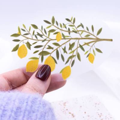 Bügelbild Zitrone Zweig Aufnäher Sommer - Geschenk Shirt verzieren Iron On Patch - Zitronenzweig Geschenk Freundin Shirt