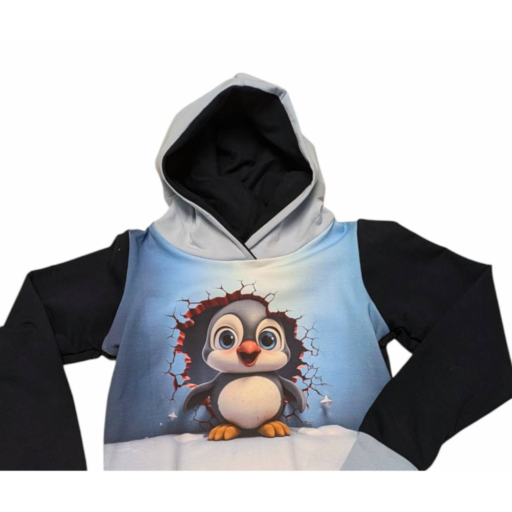 Kinder Hoodie /Sweatshirt Pullover in den 110/116 bis 128