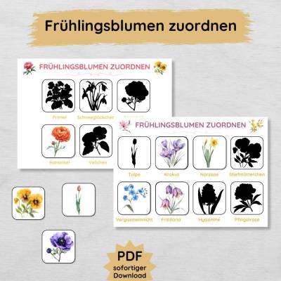 Frühlingsblumen Schatten zuordnen Spiel für Kinder zum Ausdrucken, Blumen im Frühling Zuordnungsspiel