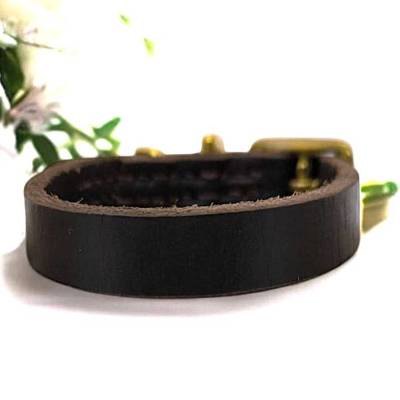 Hundehalsband aus dunkelbraunem Fettleder für kleine Hunderassen verstellbar Hlalsumfang ca. 20 - 27 cm