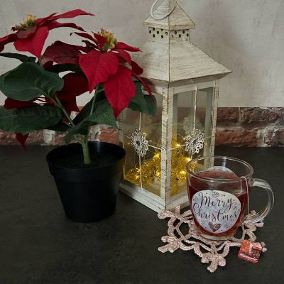 Schneeflocke Untersetzer Häkelanleitung auf Deutsch