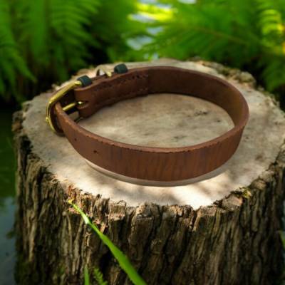 Hundehalsband aus Fettleder verstellbar in Cognac Halsumfang ca. 30 - 38 cm