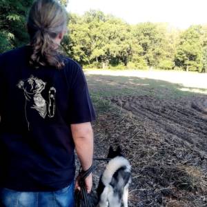 Maschinen Stickdatei - Boxer Konturen Lichteffekt 12-14*18 cm Bild 9