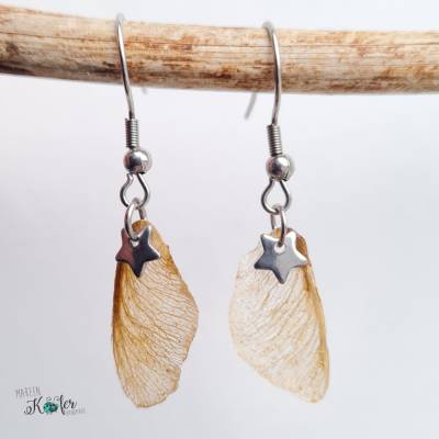 Ohrringe aus der Frucht des Ahornbaums mit Sternchen