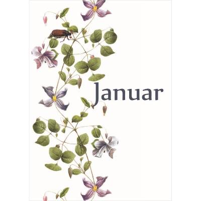 Monatskarte Januar * 5 Postkarten Das Gesumms, mit Käfer und rankenden Blumen