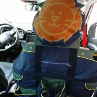E-Book Car IQ for Kids - Autoorganizer für Kinder Bild 2