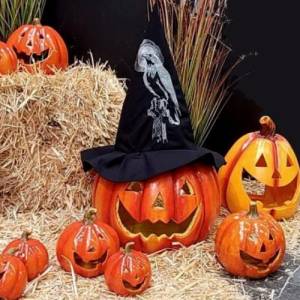 Maschinen Stickdatei - Rabe Lichteffekt 12-14*18cm Bild 8