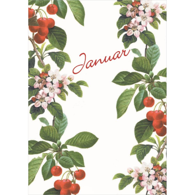 Monatskarte Januar * 5 Postkarten Apfelblüten & Kirschen mit Zweigen in Reihen