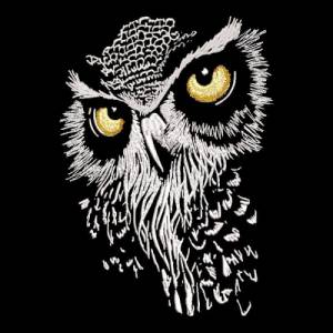 Maschinen Stickdatei - Eule Gesicht Lichteffekt 12-14x18cm Bild 1