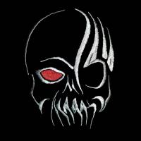 Schädel 12-14*18cm Bild 1