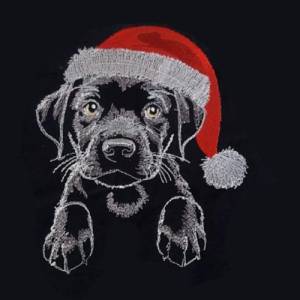 Maschinen Stickdatei - Weihnachtslabby Lichteffekt 10x10cm Bild 1