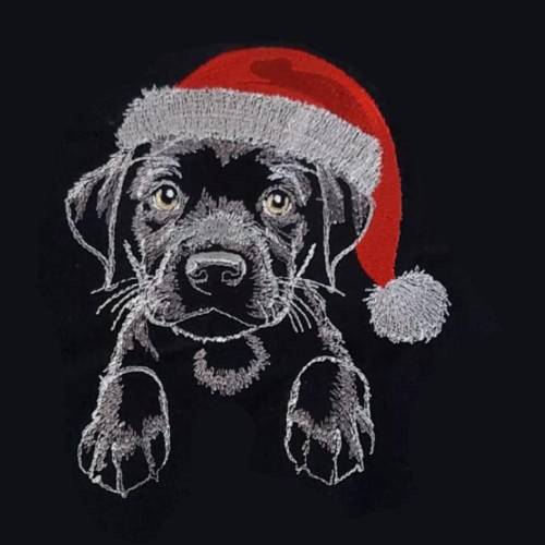 Maschinen Stickdatei - Weihnachtslabby Lichteffekt 10x10cm