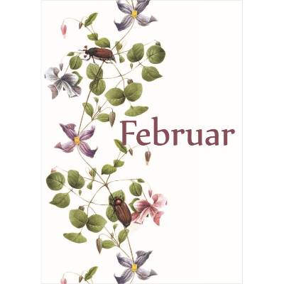Monatskarte Februar * 5 Postkarten Das Gesumms, mit Käfer und rankenden Blumen