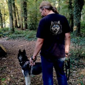 Maschinen Stickdatei - Husky cool Lichteffekt 12-14*18cm Bild 9