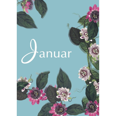 Monatskarte Januar * 5 Postkarten Karneval in Venedig, mit rankenden Passionsblumen