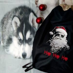 Maschinen Stickdatei - Weihnachtsmann Lichteffekt 12-14*18cm Bild 6