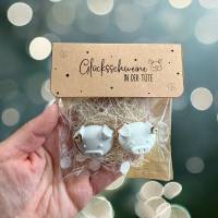 Digitale Datei, PDF Druckvorlage Tütenklappe 