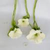 Filzblume gefilzte weiße Blume shabby Fensterblume mit langem Band Bild 6