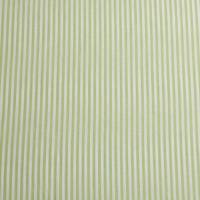 9,80 Euro/m Baumwolle Caravell,Streifen, kiwi- weiß, 1mm Bild 1