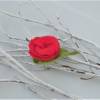 Filzbrosche Filzschmuck aus Wolle zur Rosenblüte gestaltet rot mit Wachsperle verziert Bild 3