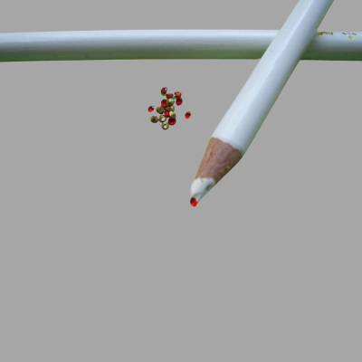 Picker für Strass und kleine Glasschliffsteine